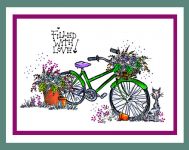 Green Bike Card